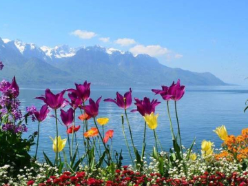 Long summer weekend Suisse, lacs & montagnes 2023