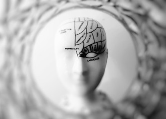 Experiment inedit de conectare a creierelor 