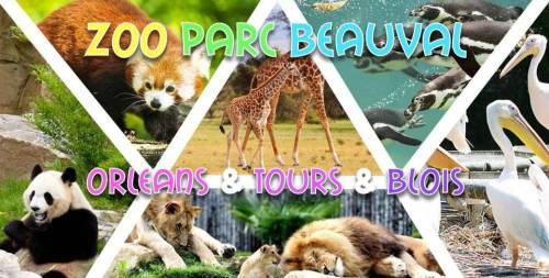Week-end Zoo de Beauval, Orléans, Tours & Blois - 25-26 juin