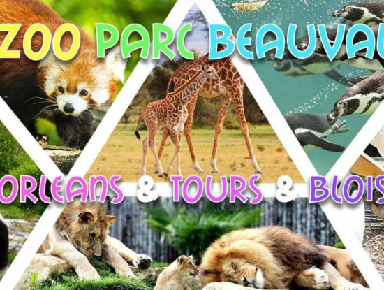 Week-end Zoo de Beauval, Orléans, Tours & Blois - 25-26 juin